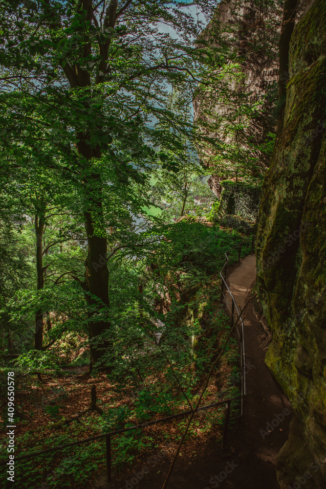 Trekking path in Bastei sandstone mountains leading to Bastei bridge. Forest with large old trees, shadowy landscapes of Saxon Switzerland. Trekking path in Bastei sandstone mountains leading to Bastei bridge. Forest with large old trees, shadowy landscapes of Saxon Switzerland.