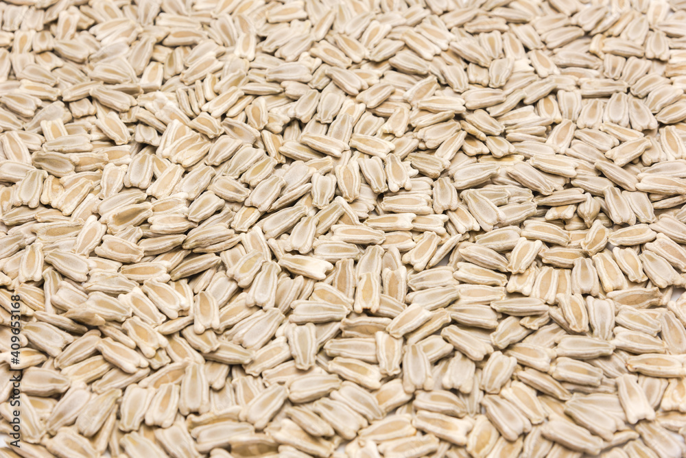 Texture full background view opo gourd or calabash squash seeds isolated on white background Texture full background view opo gourd or calabash squash seeds isolated on white background