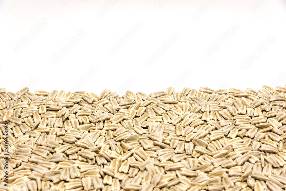 Close-up pile of opo gourd or calabash squash seeds isolated on white background with copy space Close-up pile of opo gourd or calabash squash seeds isolated on white background with copy space