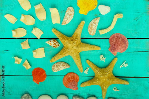 background of seashells and starfish on a wooden turquoise surface