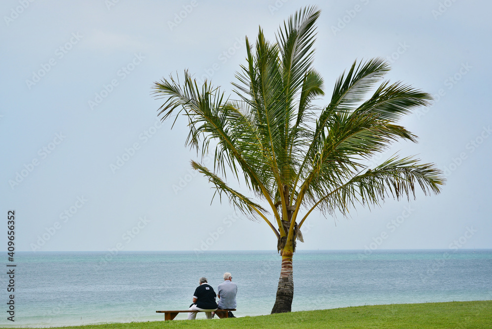 Fototapeta premium grandparents on the beach