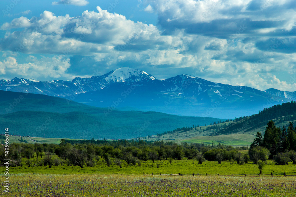 Fototapeta premium landscape with trees