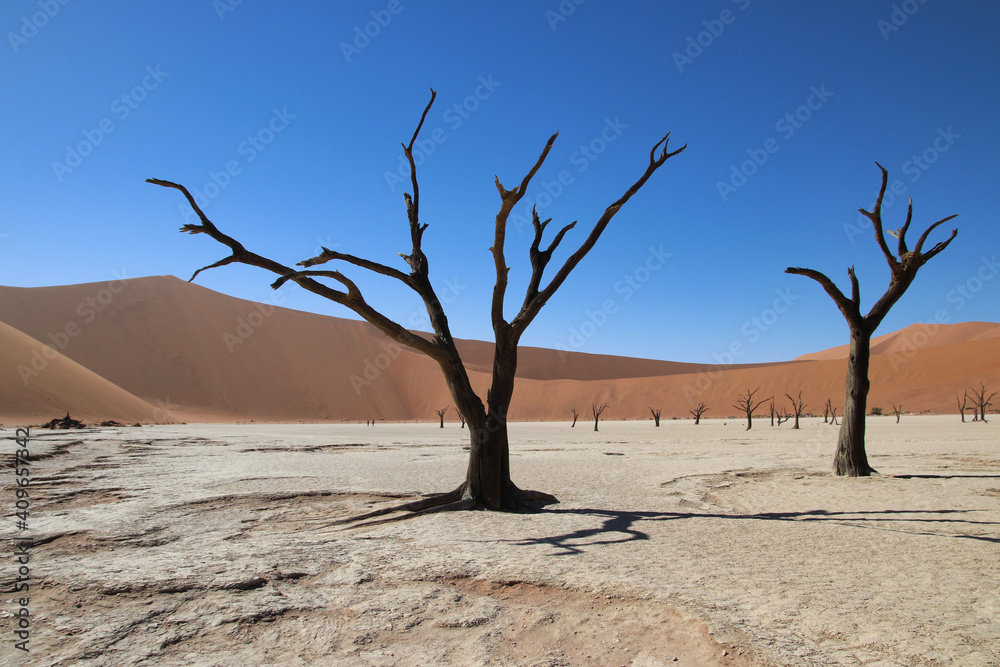 Deadvlei - Sossusvlei, Namibia, Africa Deadvlei - Sossusvlei, Namibia, Africa