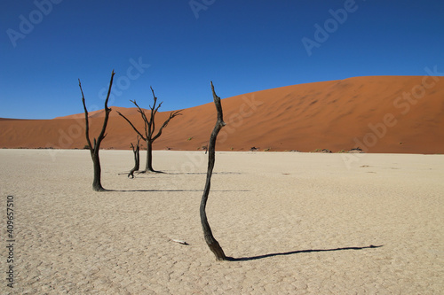 Deadvlei - Sossusvlei, Namibia, Africa