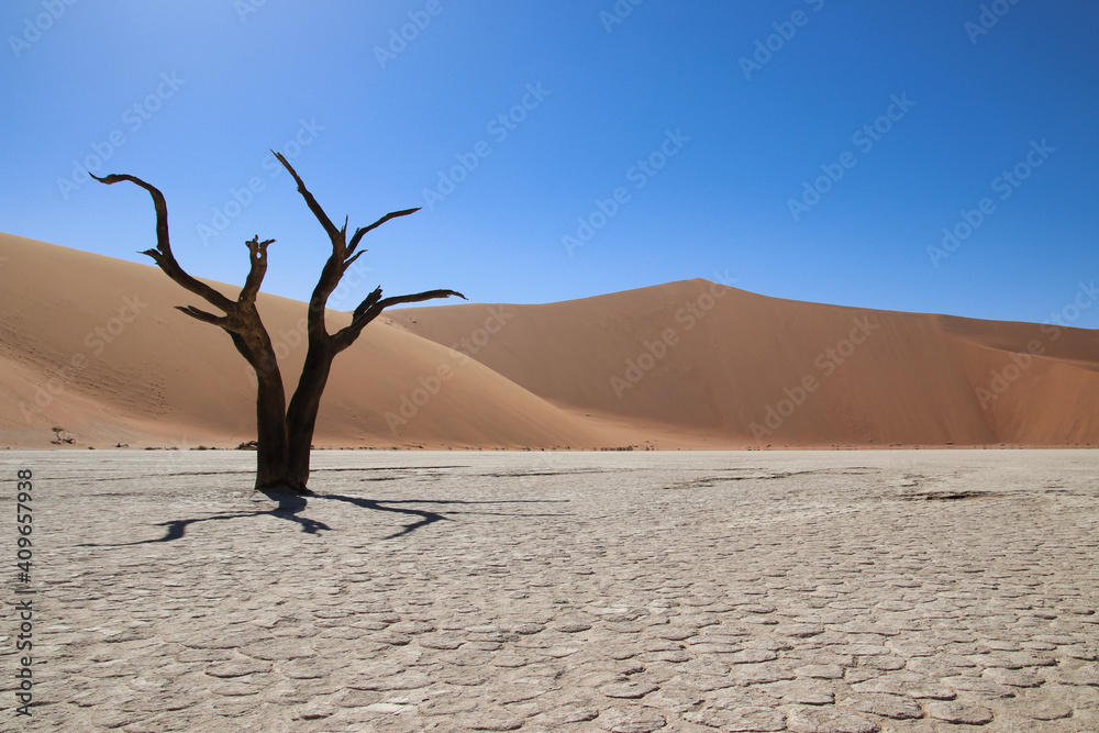 Deadvlei - Sossusvlei, Namibia, Africa Deadvlei - Sossusvlei, Namibia, Africa