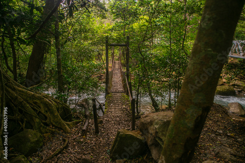 The Old Wooden Bridge in Rincon De La Viaja National Park of Costa Rica, Central America