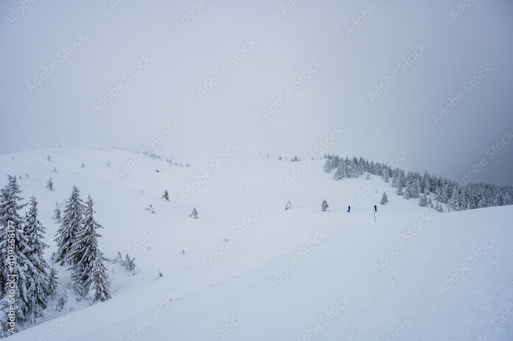 Group of hikers climbing up snowy Ciucas mountains in foggy weather in winter