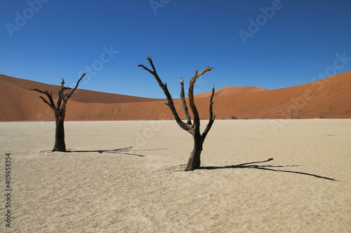 Deadvlei - Sossusvlei, Namibia, Africa