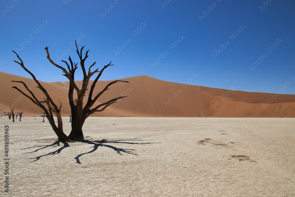 Deadvlei - Sossusvlei, Namibia, Africa Deadvlei - Sossusvlei, Namibia, Africa
