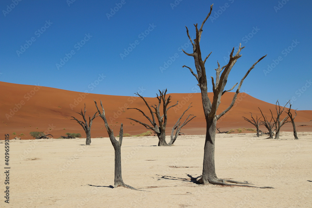 Deadvlei - Sossusvlei, Namibia, Africa Deadvlei - Sossusvlei, Namibia, Africa