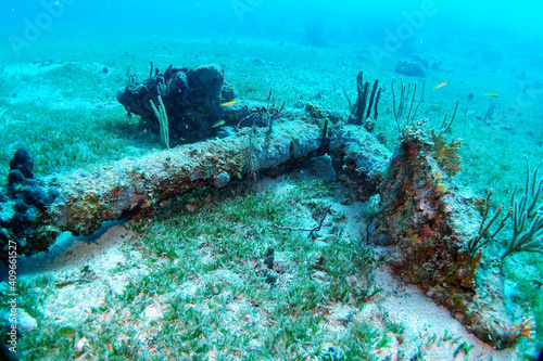 Diving in the Caribbean at the RMS Rhone, beautiful environment with beautiful animals, the ship sank 1867 at Salt Island and 123 people lost there lives, 