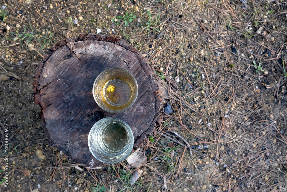 Two glasses with alcoholic drinks.
Summer rest. Celebrate and enjoy the moment. Tasting of alcoholic drinks. A romantic evening aperitif. Two glasses with alcoholic drinks.
Summer rest. Celebrate and enjoy the moment. Tasting of alcoholic drinks. A romantic evening aperitif.