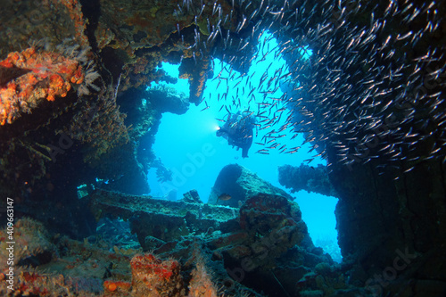 Diving in the Caribbean at the RMS Rhone, beautiful environment with beautiful animals, the ship sank 1867 at Salt Island and 123 people lost there lives, 