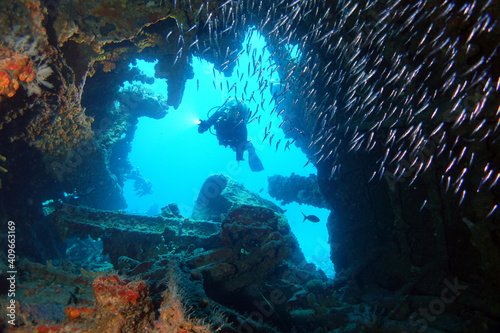 Diving in the Caribbean at the RMS Rhone, beautiful environment with beautiful animals, the ship sank 1867 at Salt Island and 123 people lost there lives,  © Romeo