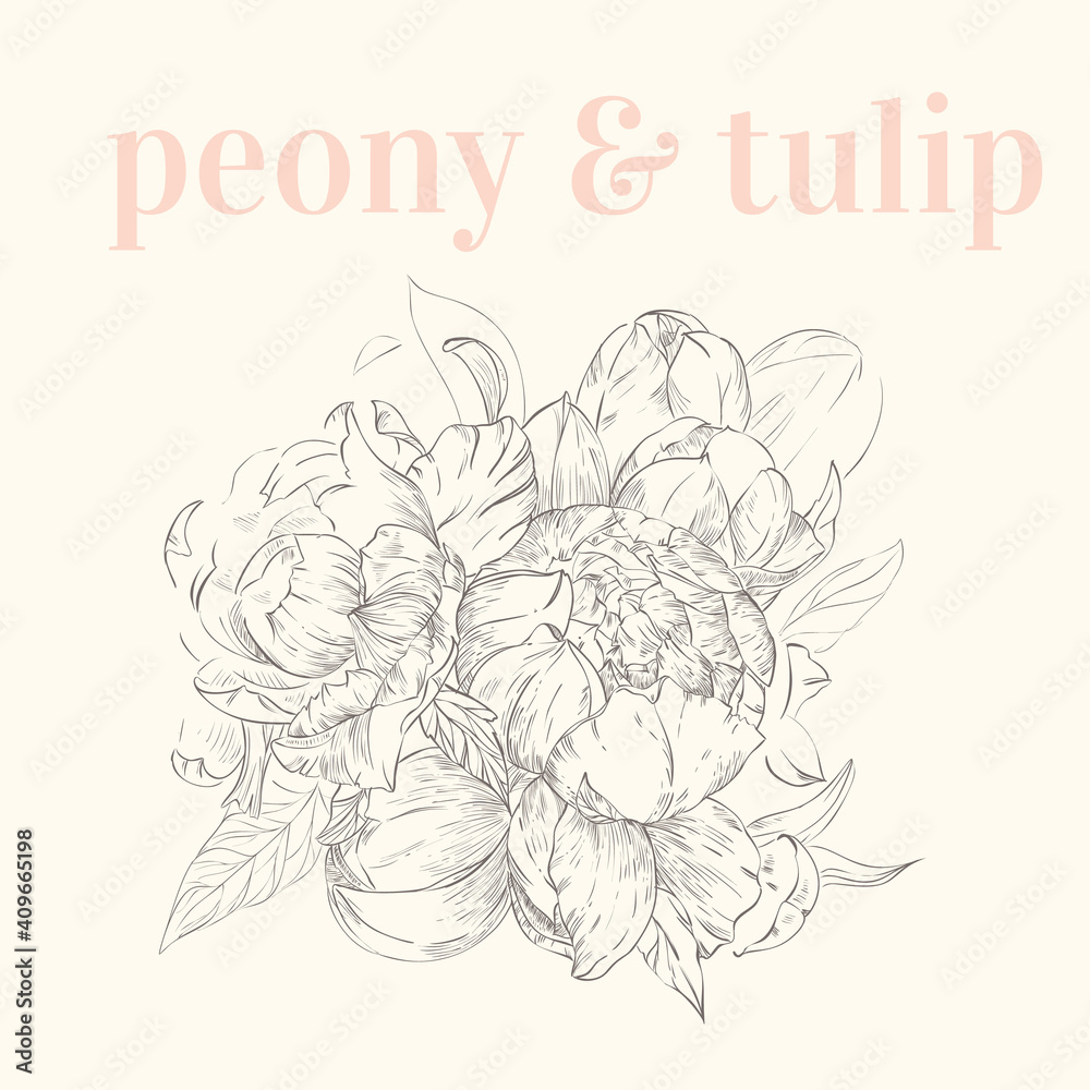 Fototapeta premium Peony and tulip haddrawn pen and pencil sketch. Line style vector. Spring wedding invitation. Vector design. Black outline. Decorative print. Retro illustration for fabric design.