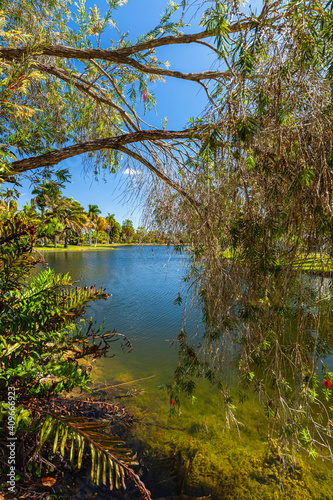 Beautiful Fairchild Gardens in Miami  Florida