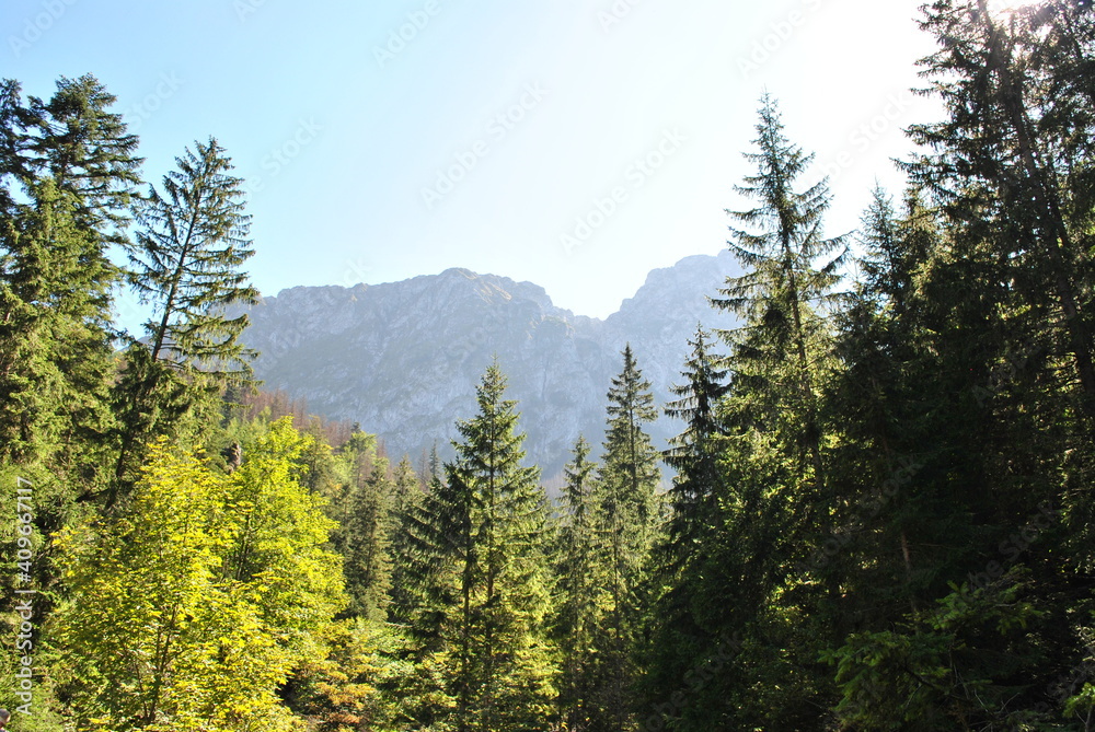 Obraz premium Tatry 23