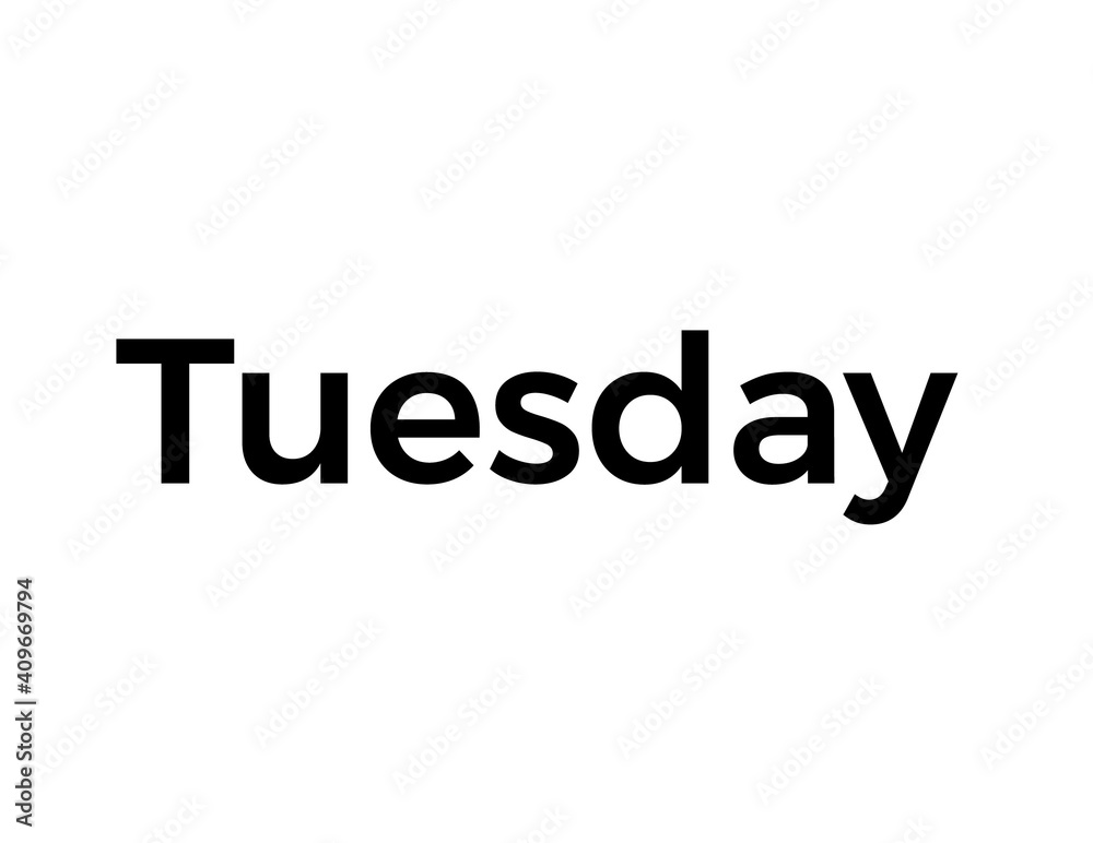 business logo design