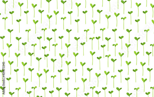 Agricultural seedlings field. Growing young plant shoots. Crops began to sprout. Spring season. Vector background.