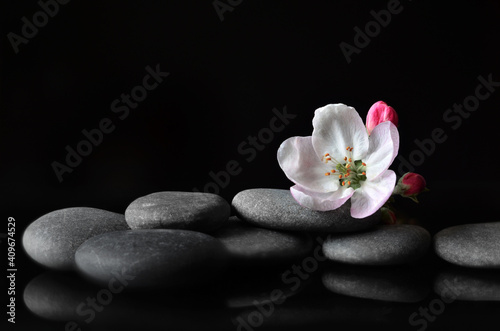 Spa stones and pink flowers on black background.