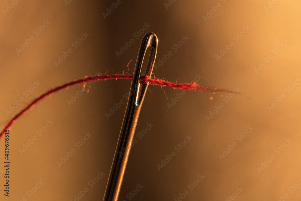 needle and thread on white needle and thread on white