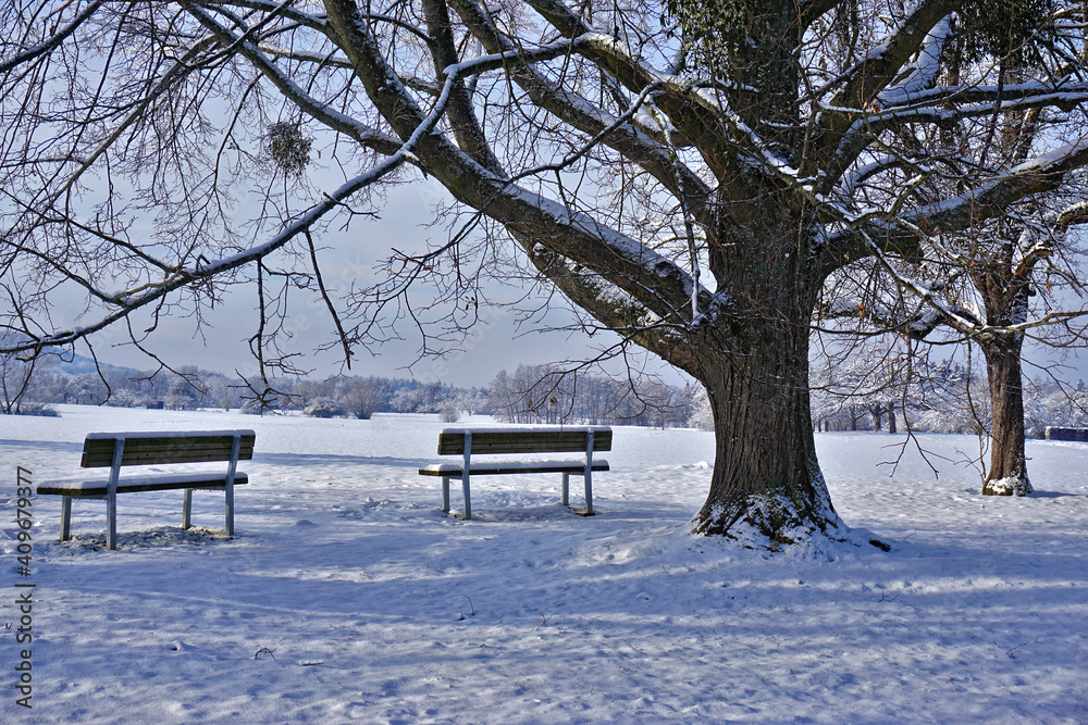 Sitzbänke unterm Lindenbaum in winterlicher Landschaft