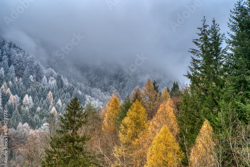 Charming autumn landscape in first early frost in Swiss Alps. Colorful autumn scene of Swiss Alps. Location  Berschis  Canton St. Gallen  Switzerland  Europe