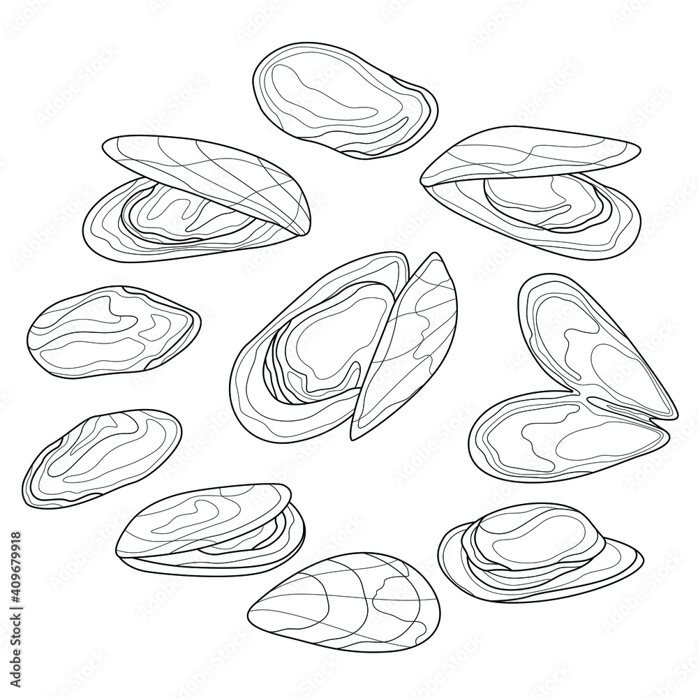 Mussels.Food.Coloring book antistress adults. Illustration isolated on white background.Black and white drawing Mussels.Food.Coloring book antistress adults. Illustration isolated on white background.Black and white drawing