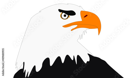cabeza de águila calva