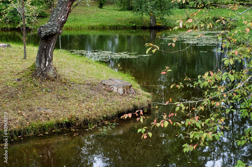 Pond in the park.