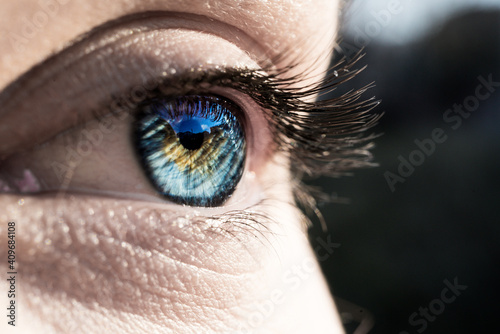 Blue eye in macro lens
