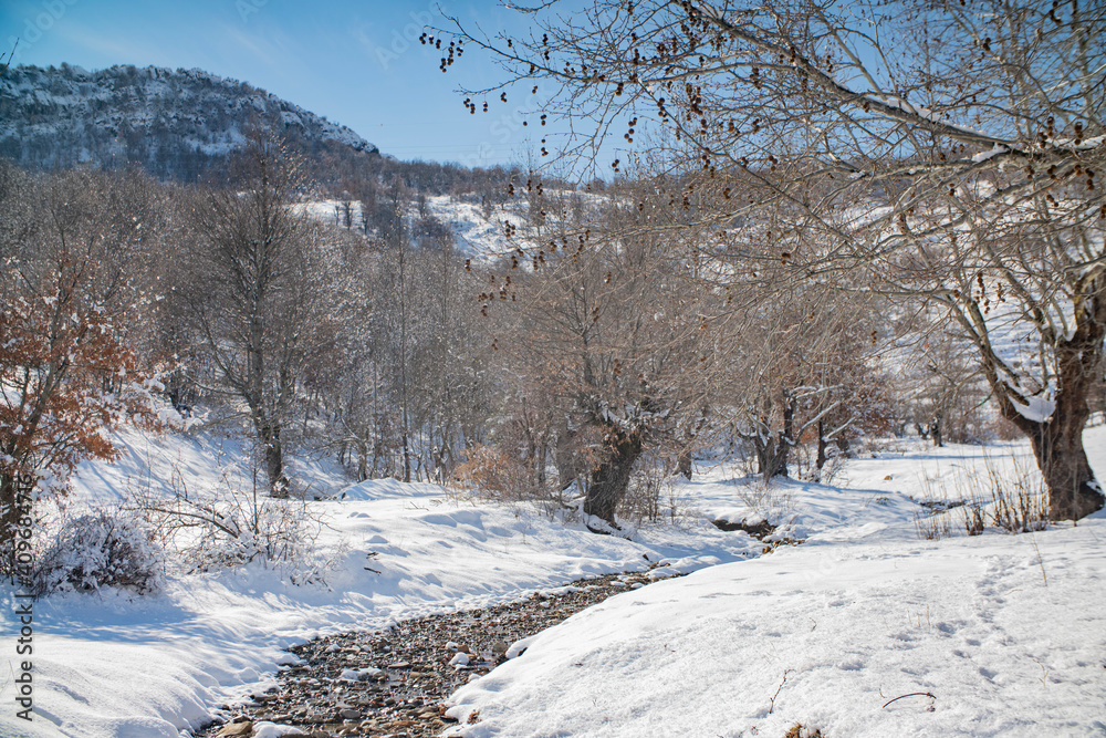 mountain stream in the winter forest mountain stream in the winter forest