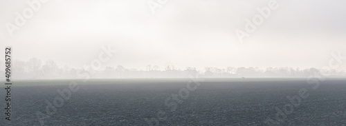 Panorama of a distant row of trees in the Dutch countryside, which is barely visible through the fog