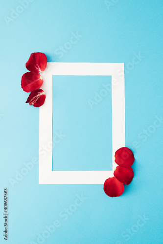 Vertical white frame with red roses petals against blue background.Minimal love concept.