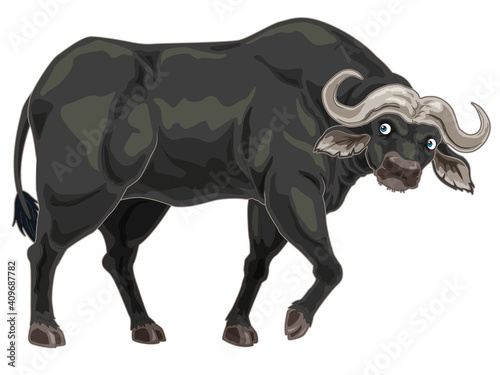 African Buffalo walking with dark grey body
