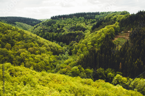 Hunsrück Mountain Range in Rhineland-Palantinate, Germany. Beautiful green forest in Western Germany.