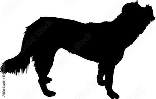 Black isolated vector silhouette of dog that turned away