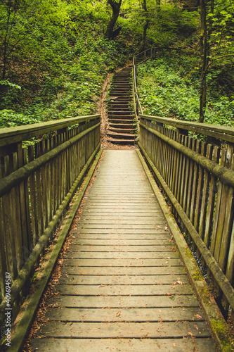 Fototapeta Naklejka Na Ścianę i Meble -  Hiking trail in German forest. Scenic footpath with wooden bridge in Rothaar Mountains in Northrhine-Westphalia state