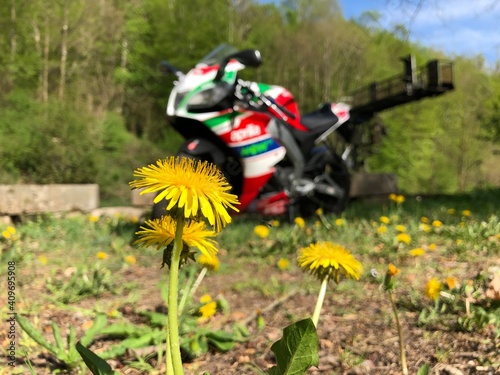 Photos Motorrad im grünen Sommer