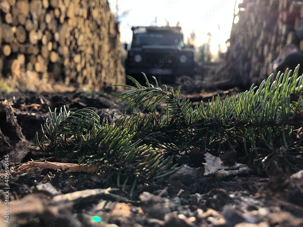 Obraz premium LandRover Defender