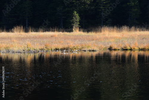 Impressionen eines Bergsees