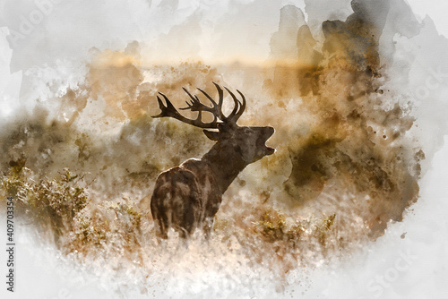 Fotografiet Digital watercolor painting of Beautiful image of red deer stag in vibrant golds