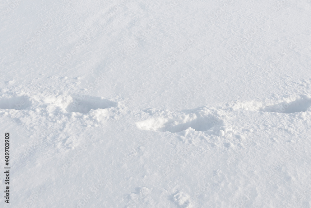 Footprints in snow