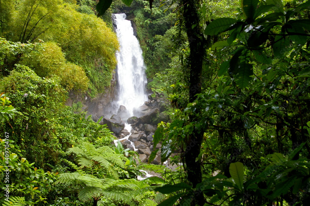 Obraz premium waterfall in jungle
