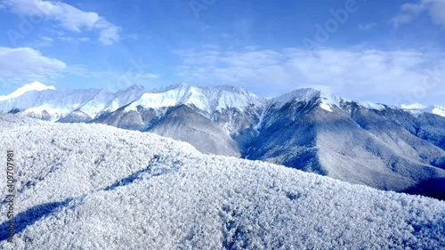 Beautiful footage of aerial Drone  view of  winter forest mountains