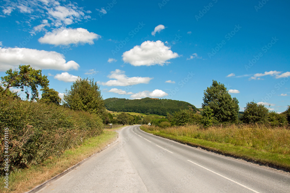 Summertime road in the countryside
