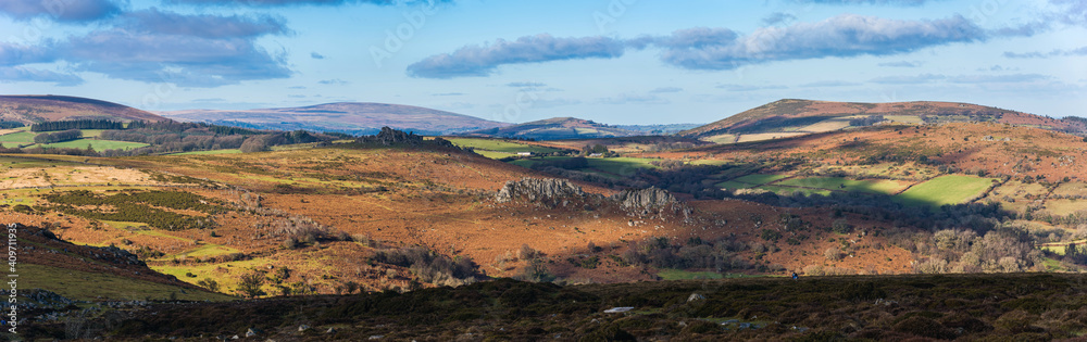 Haytor Rocks, Dartmoor Park, Devon, England, Europe