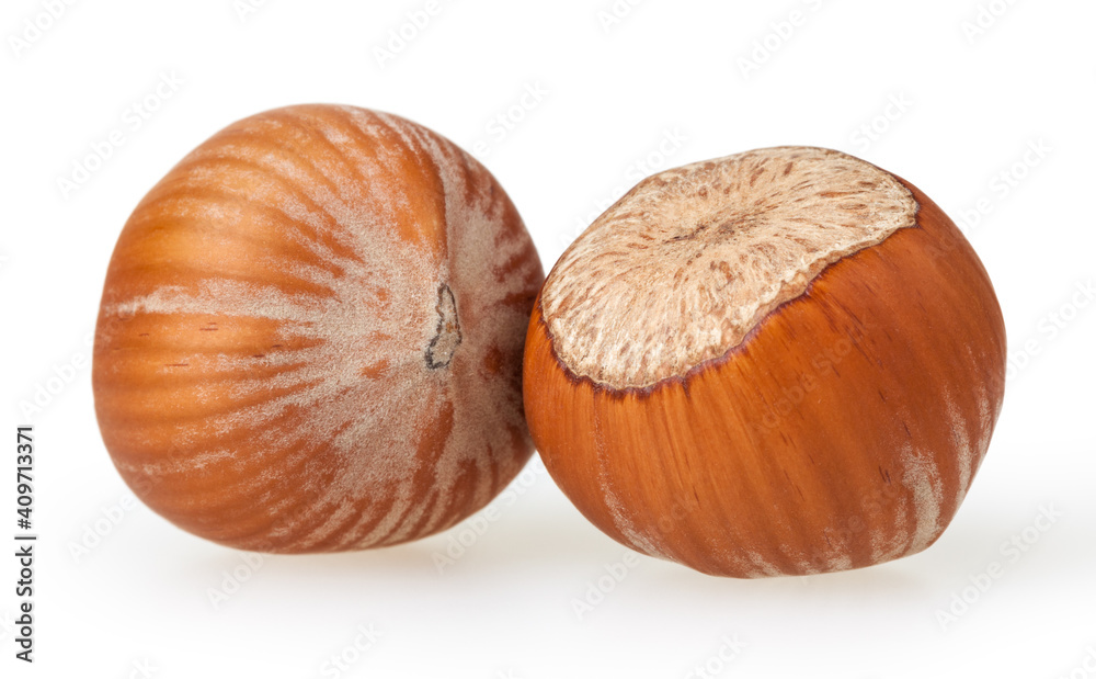 Hazelnuts isolated on white background with clipping path Hazelnuts isolated on white background with clipping path