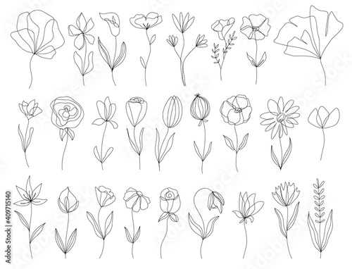 Set of vector doodle hand drawn floral elements. Decoration elements for design invitation, wedding cards, valentines day, greeting cards