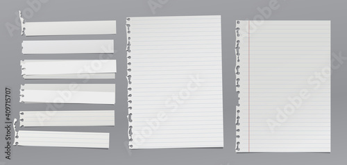 Set of torn white note, notebook paper pieces stuck on grey background. Vector illustration